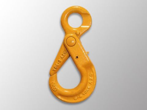 點擊查看詳細信息<br>標題：Selflock Hook 閱讀次數：1612