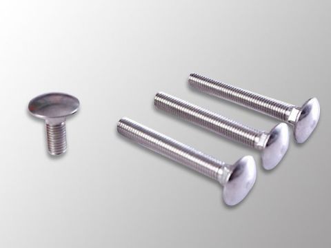 點擊查看詳細信息<br>標題：Carriage Bolt 閱讀次數：1336